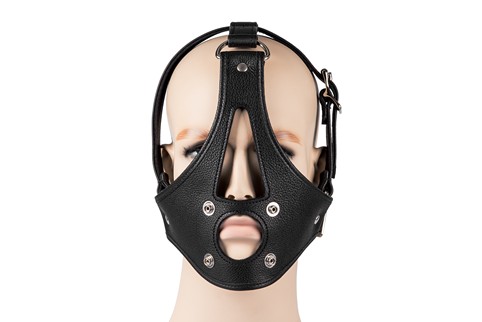 De Luxe Head Harness #2