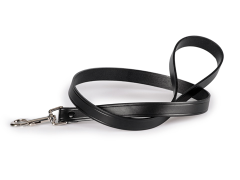 Leather Leash