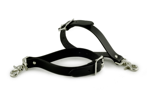 Pair of Bed Restraints